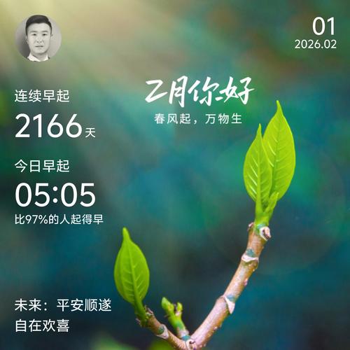 岁月不居，时节如流，花落，风雪，风不语，匆匆一年又是冬  第1张
