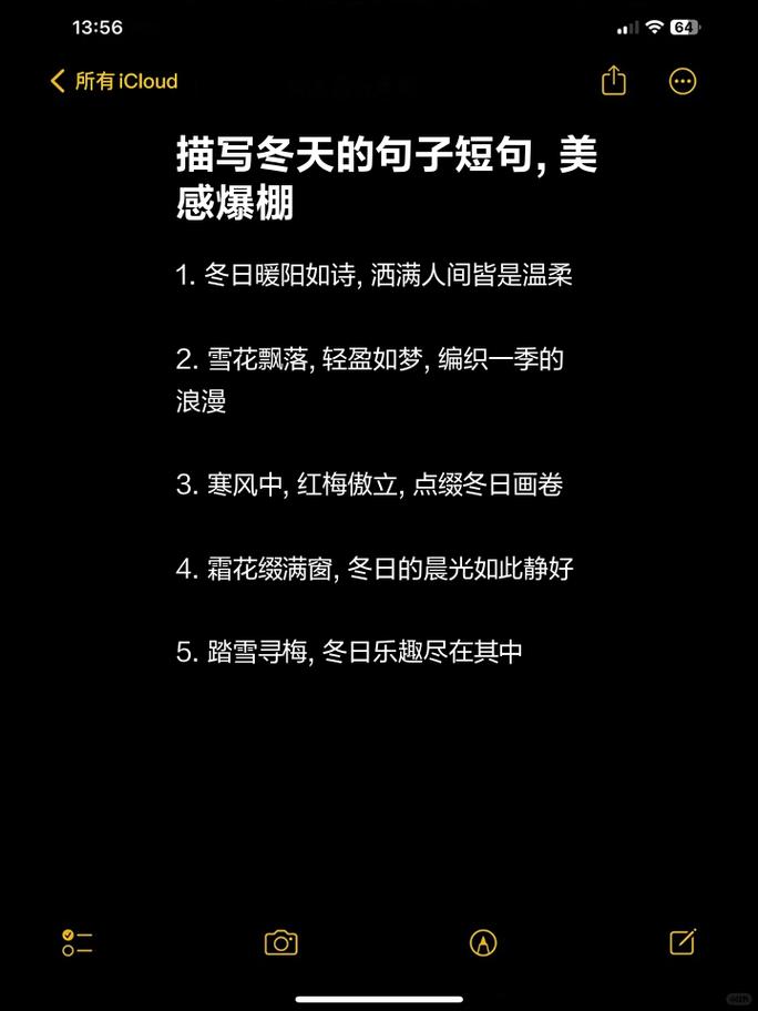 情绪文案：“又是一年冬，新冬可否胜旧冬”  第1张