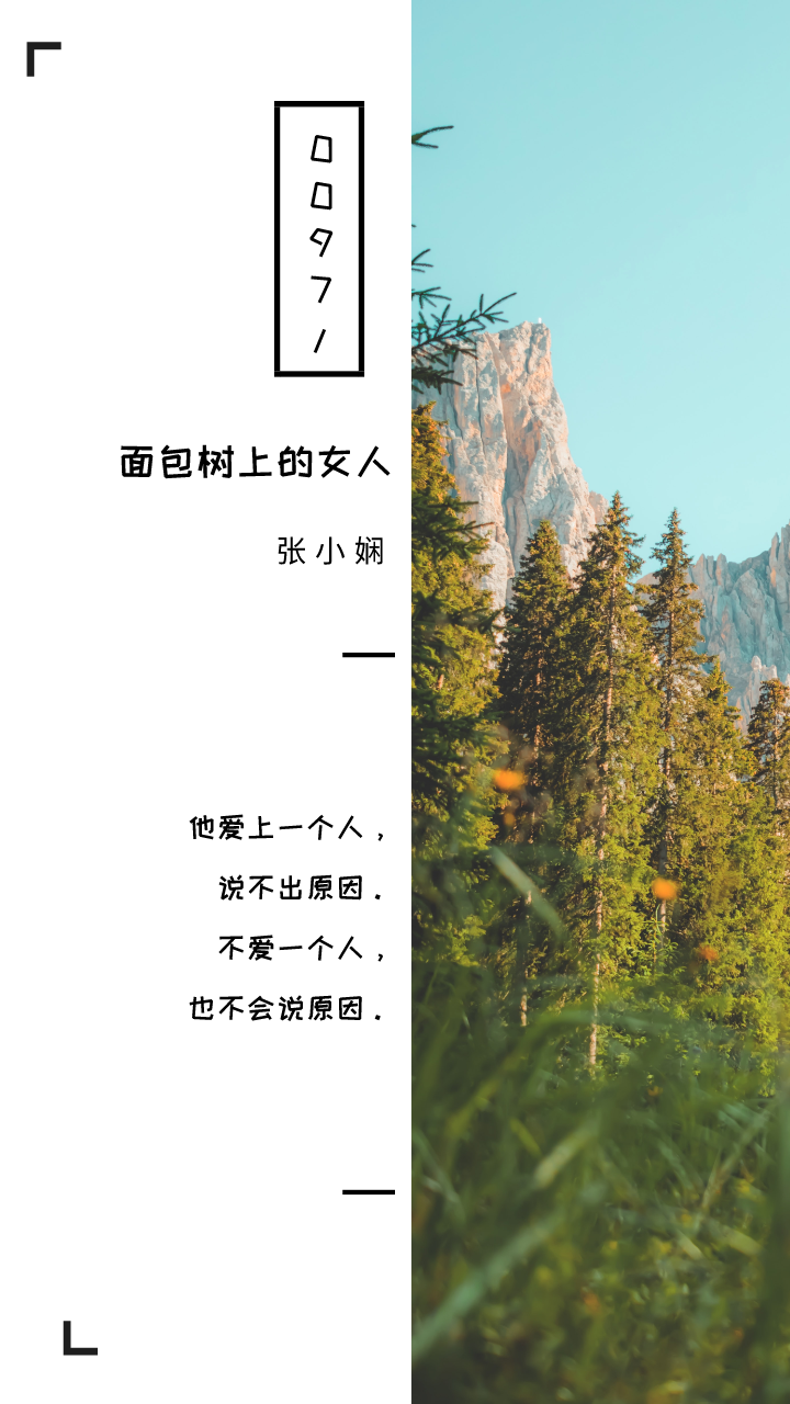 摘抄 | 《面包树上的女人》经典语录名句,韵味无穷 第1张 摘抄 | 《面包树上的女人》经典语录名句,韵味无穷 第1张