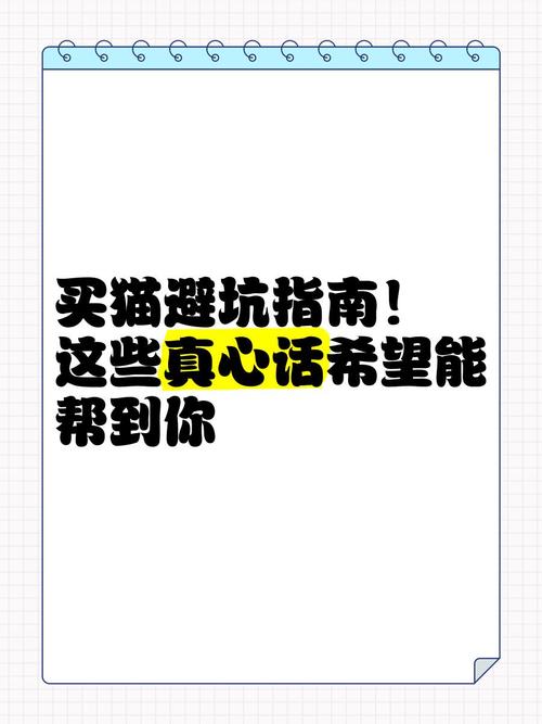 我想用10000元买你一句真心话 第1张 我想用10000元买你一句真心话 第1张