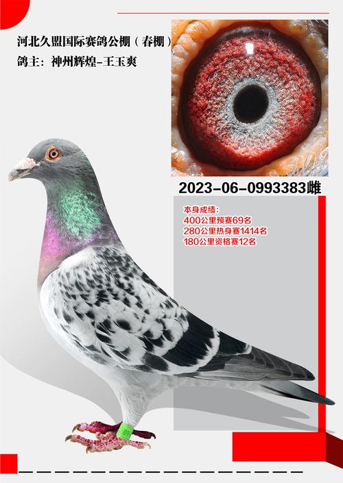 翻凹芬渗缔刘刚、扁座鼓爆丐鸽揍歉昆? 第1张 翻凹芬渗缔刘刚、扁座鼓爆丐鸽揍歉昆? 第1张