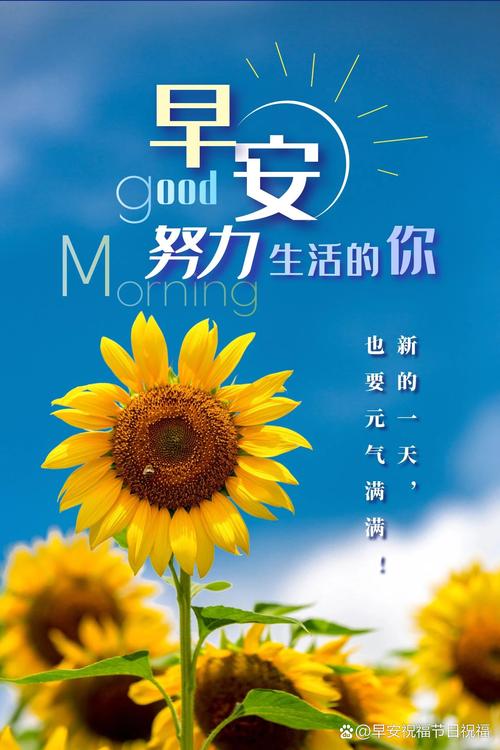 2024年最新早安心语正能量经典语录,迎接新一年的挑战! 第1张 2024年最新早安心语正能量经典语录,迎接新一年的挑战! 第1张
