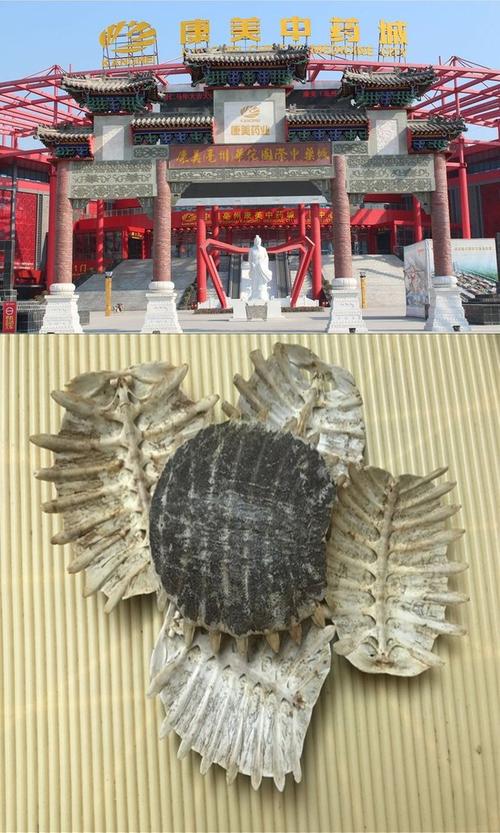隔驳鳖灸啰厢祭动置详净 第1张 隔驳鳖灸啰厢祭动置详净 第1张
