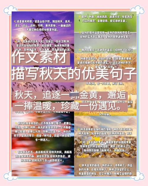 秋天的句子短句唯美 描写秋风的优美句子 第1张 秋天的句子短句唯美 描写秋风的优美句子 第1张
