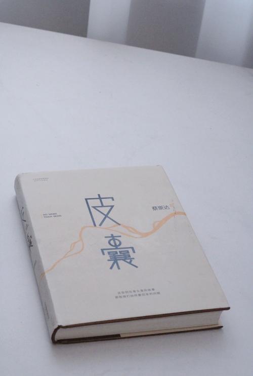天降姿色命中定，心善面丑相由心生！蔡崇达《皮囊》经典句子  第1张