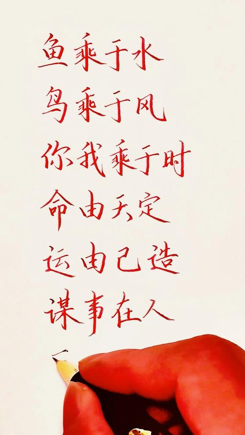 谋事在人成事在天，听天由命，把生活还给自己  第1张