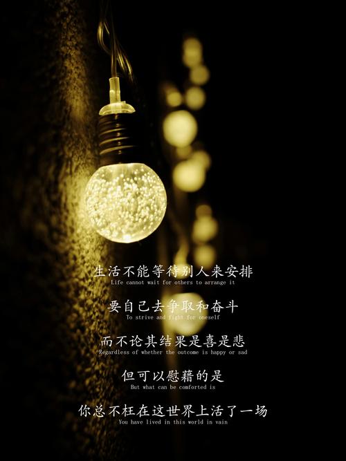 10句命运语录：生活不应等待别人安排，而要争取和奋斗  第1张