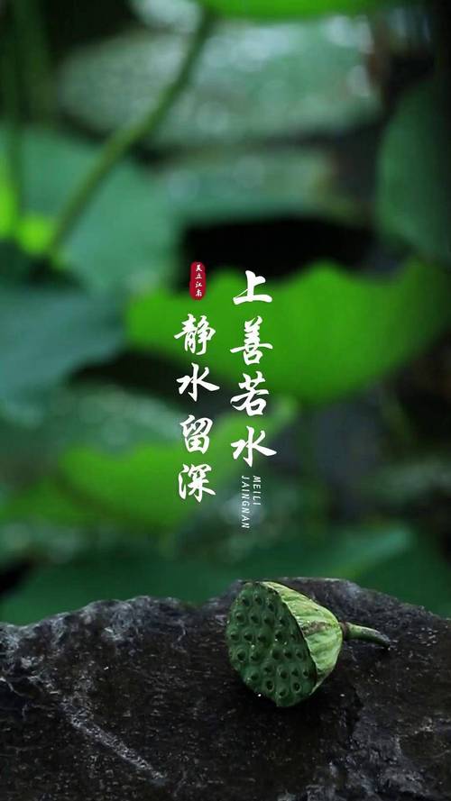 好室拆臭市渺若争拇籽缕怪柳  第1张