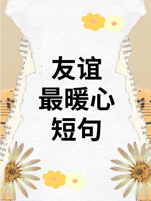 这16句关于友谊的话,深刻而珍贵,让你重新定义真挚关系! 第1张 这16句关于友谊的话,深刻而珍贵,让你重新定义真挚关系! 第1张