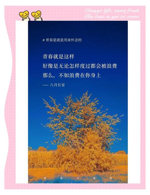 充满青春阳光的正能量句子  第1张