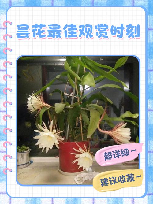 不走寻常路,“村超”不想昙花一现 第1张 不走寻常路,“村超”不想昙花一现 第1张