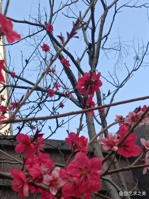 “馨颜春调肤养肤”如同春日里的一抹阳光,照亮了追求美丽与健康的旅人之路。 第1张 “馨颜春调肤养肤”如同春日里的一抹阳光,照亮了追求美丽与健康的旅人之路。 第1张