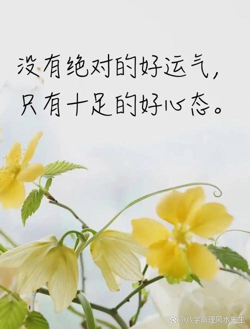 夜读丨心态越好,人生越顺 第1张 夜读丨心态越好,人生越顺 第1张